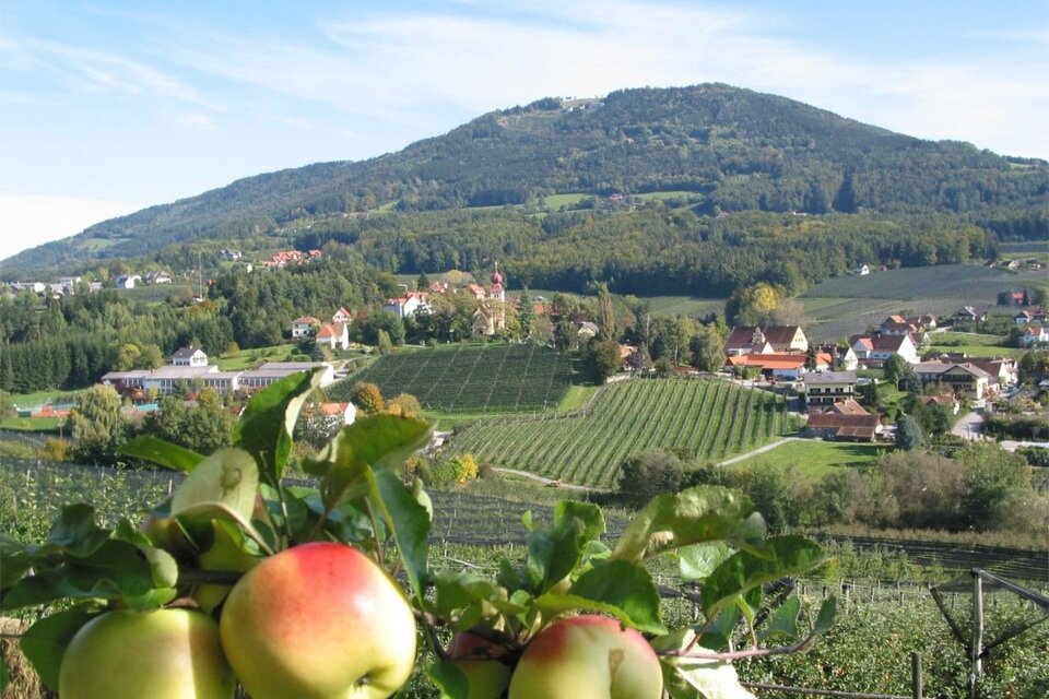 Styrian apple street - Impression #1 | © Tourismusverband Oststeiermark