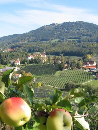 Apfelstraße_Ortsansicht_Oststeiermark | Walter Schneider | © Tourismusverband Oststeiermark