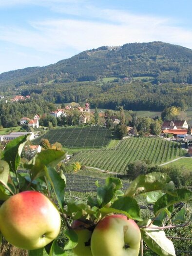 apple_street_location_view_eastern_styria | © Tourismusverband Oststeiermark