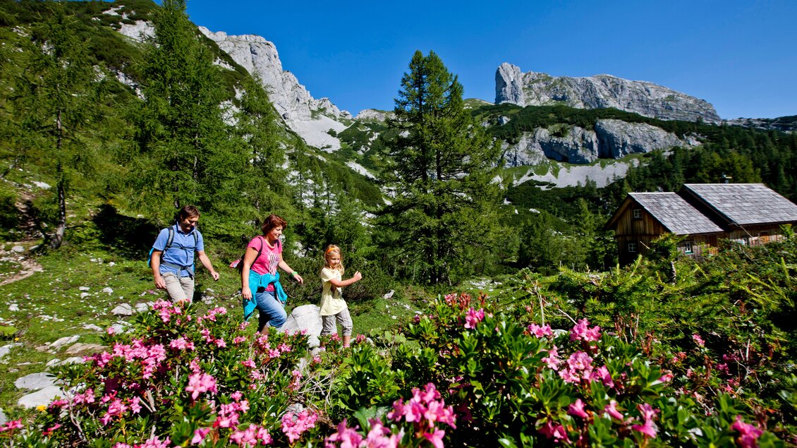 <p>Eine Gruppe von Wanderern genießt die Natur in den Bergen auf der Tauplitzalm. Bunte Blumen und ein klarer blauer Himmel sind im Hintergrund zu sehen.</p> | © TVB Ausseerland Salzkammergut, Tom Lamm