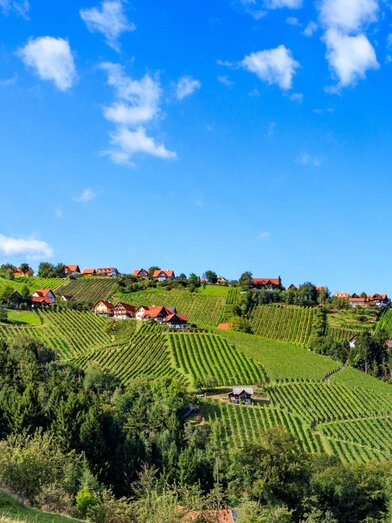 Panoramaansicht Hochgrail | TV Südsteiermark - Foto Augenblick | © TV Südsteiermark - Foto Augenblick