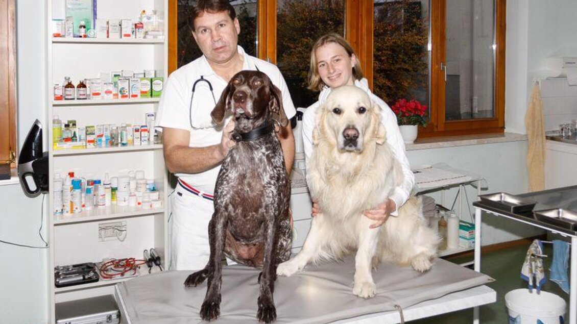 Ein Tierarzt und eine Helferin stehen in einer Tierarztpraxis. Sie haben zwei Hunde, einen braunen und einen weißen, auf einem Behandlungstisch.