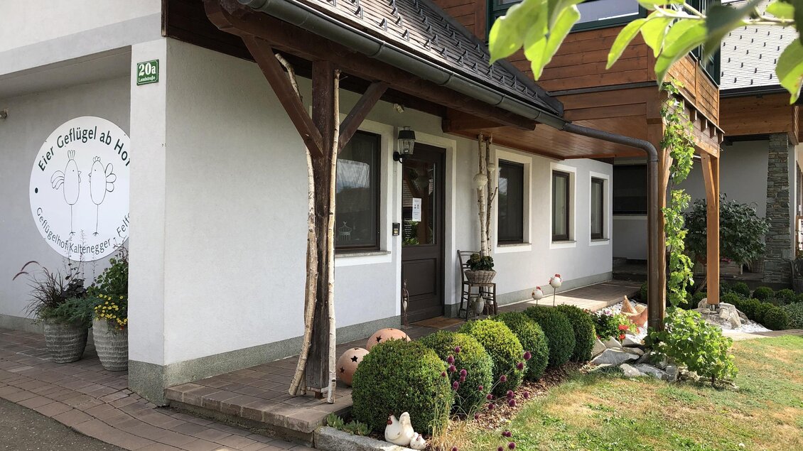 Ein Einfamilienhaus mit einem einladenden Eingangsbereich. Im Vordergrund sind gepflegte Büsche und Pflanzen zu sehen. | © Kaltenegger