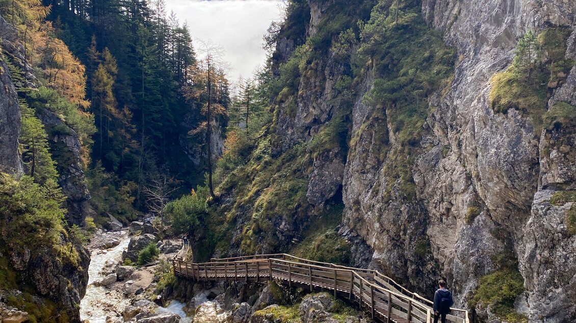 Eine schmale Holzbrücke schlängelt sich durch eine beeindruckende Schlucht. Im Hintergrund sind Bäume und Berge zu sehen, während ein Fluss durch das Tal fließt. | © 1000things_JoWelling_DanielLeeb 
