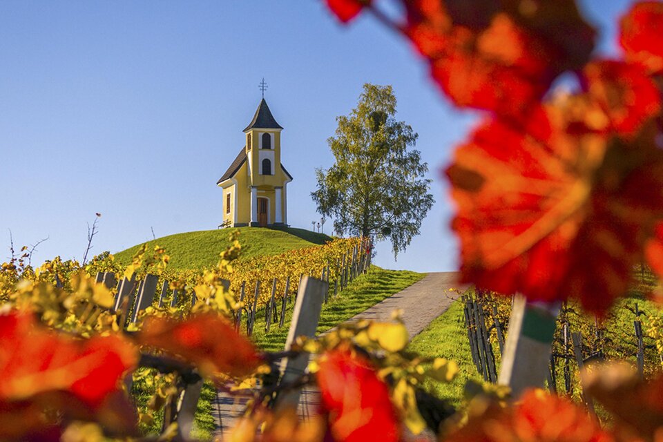 Paker Kapelle - Impression #1 | © Maggy & Georg Dreisiebner | Weinbau Dreisiebner