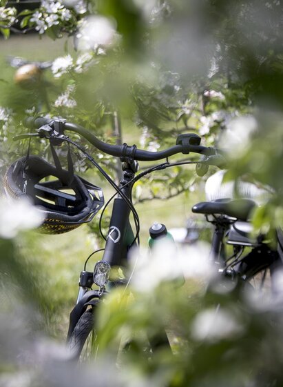 Radfahren_Oststeiermark | Tom Lamm | © Steiermark Tourismus