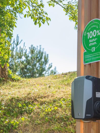 A charging station for electric vehicles on a wooden wall. A sign reading "100% renewable energy" is also visible. | © Helmut Schweighofer