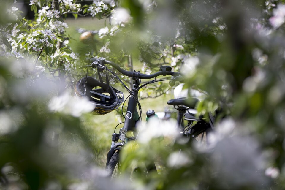 E-Bike Ladestation Schuh - Impression #1 | © Steiermark Tourismus