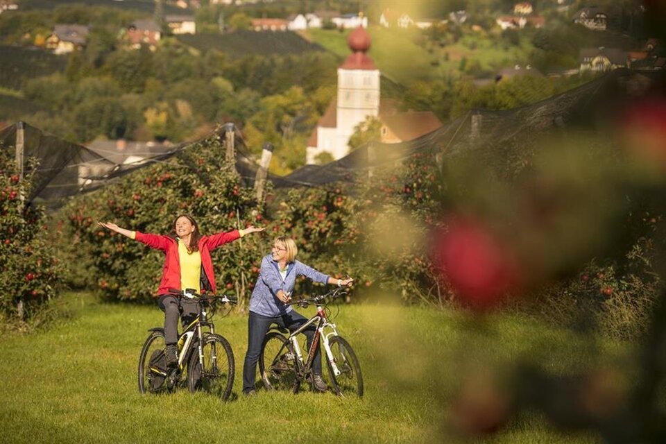 E-Bike Ladestation Wirtshaus Meißl - Impression #1 | © Wirtshaus Meißl