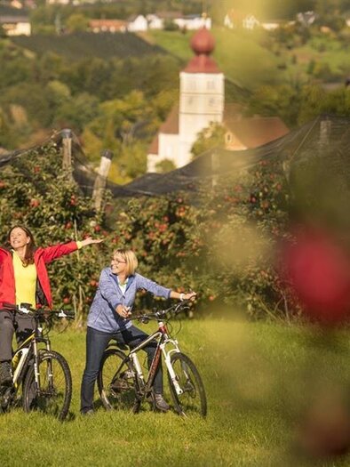 Wirtshaus Meißl_Radfahren_Oststeiermark | © Wirtshaus Meißl