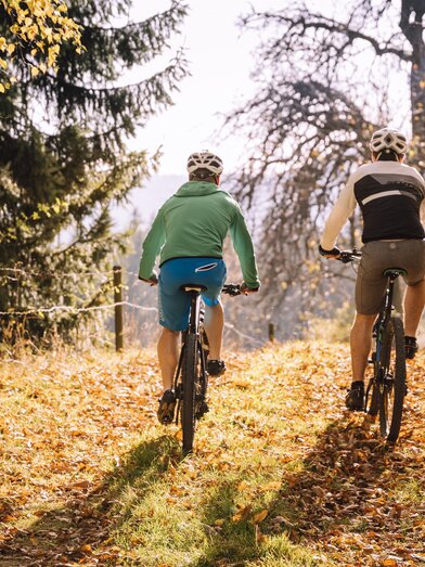 E-bike rental_cyclist on forest path_Eastern Styria | © Tourismusverband Oststeiermark | Bernhard Bergmann | © Tourismusverband Oststeiermark