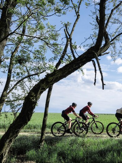 E-Bikes vom LOISIUM | © LOISIUM | Erwin Haiden | © LOISIUM