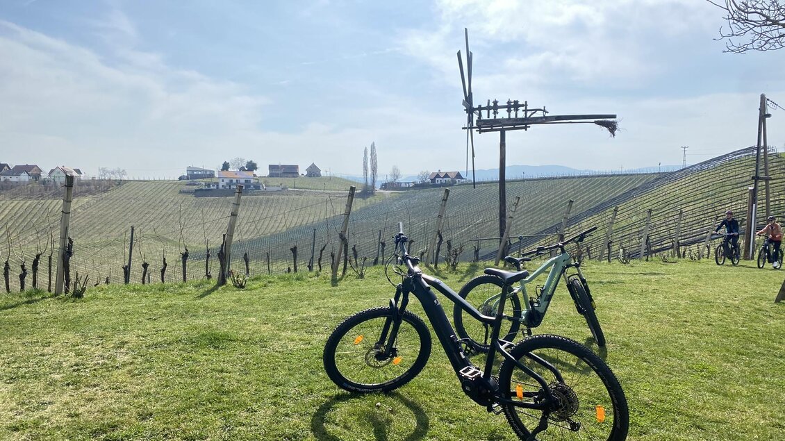 Zwei Fahrräder stehen auf einer grünen Wiese. Im Hintergrund sind Weinberge und ein blauer Himmel zu sehen. | © Ratscher Landhaus