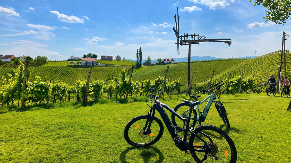 Zwei Fahrräder stehen auf einer grünen Wiese vor Weinbergen. Im Hintergrund ist ein blauer Himmel mit einigen Wolken zu sehen. | © Ratscher Landhaus