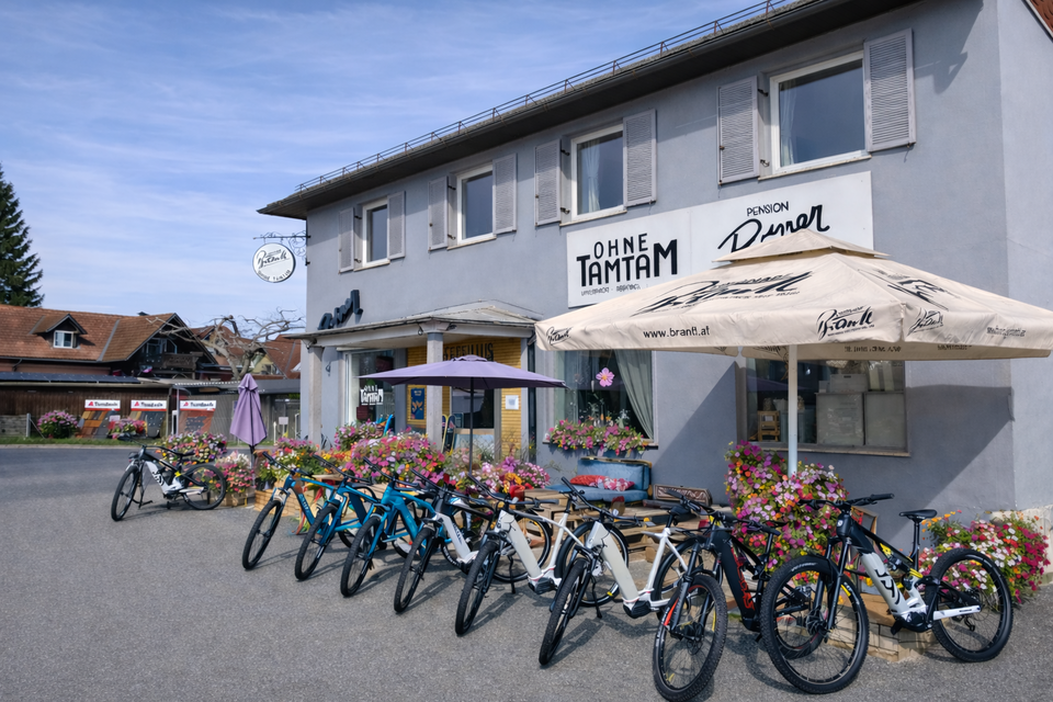 E-Bike Verleih am Murradweg in Vogau - Impression #1 | © Martina Peklar