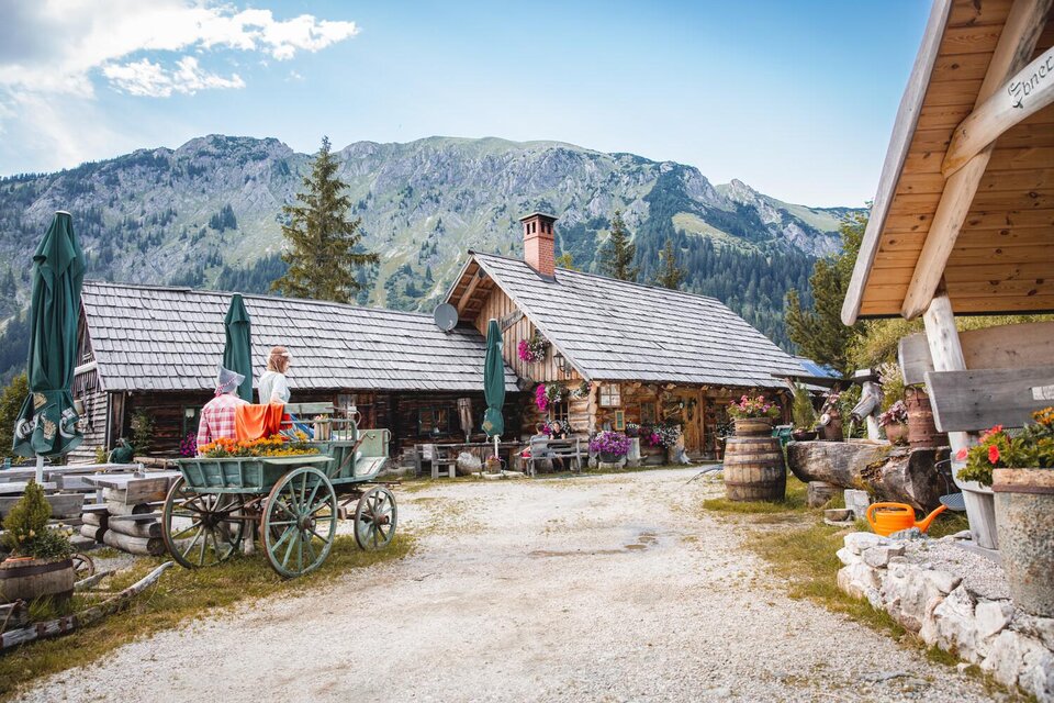 Ebneralm - Impression #1 | © TV Gesäuse