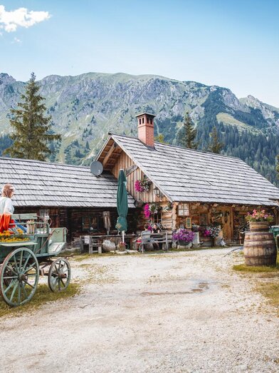 Ebneralm auf 1.282 m | © TV Gesäuse | Thomas Sattler | © TV Gesäuse