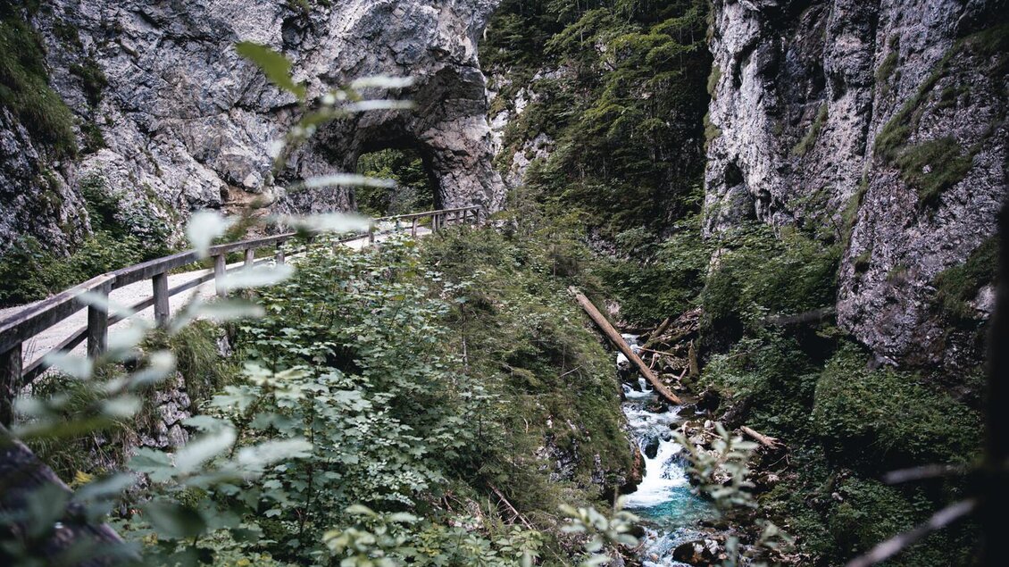 Ein malerischer Weg führt durch eine grüne Schlucht mit steilen Felsen. Ein klarer Bach fließt neben dem Weg. | © TV Gesäuse