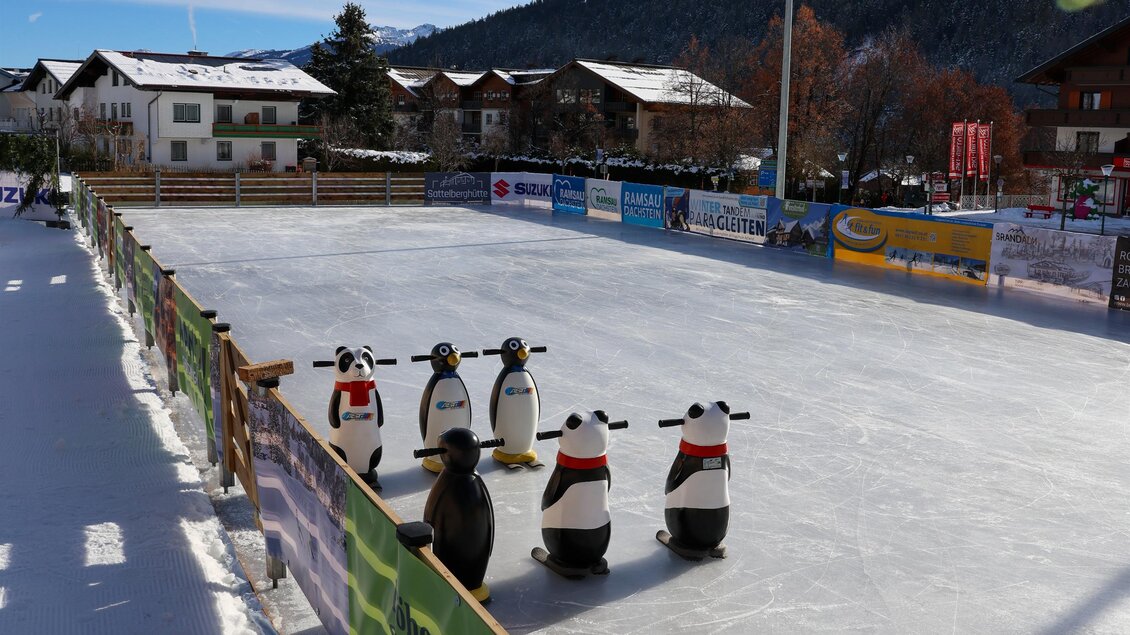 Eine Eislaufbahn im Freien mit mehreren Pinguin-Hilfen. Im Hintergrund sind schneebedeckte Berge und ein blauer Himmel zu sehen. | © RVB Ramsau
