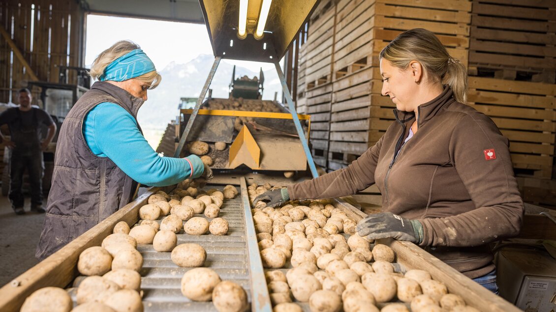 Zwei Frauen sortieren Kartoffeln in einer landwirtschaftlichen Halle. Die Umgebung ist mit Holzpaletten und Geräten ausgestattet. | © Netzwerk Kulinarik Wildbild