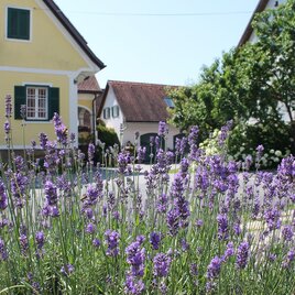 Genusshof | © Farmer Rabensteiner