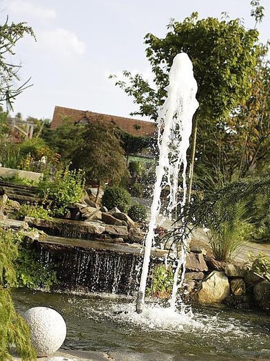 Höfler_Wassergarten_Oststeiermark | © Baumschule Höfler