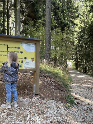 Masen.Berg._Dein Waldabenteuer_Oststeiermark | © Osteiermark Tourismus, Manuela Schnur