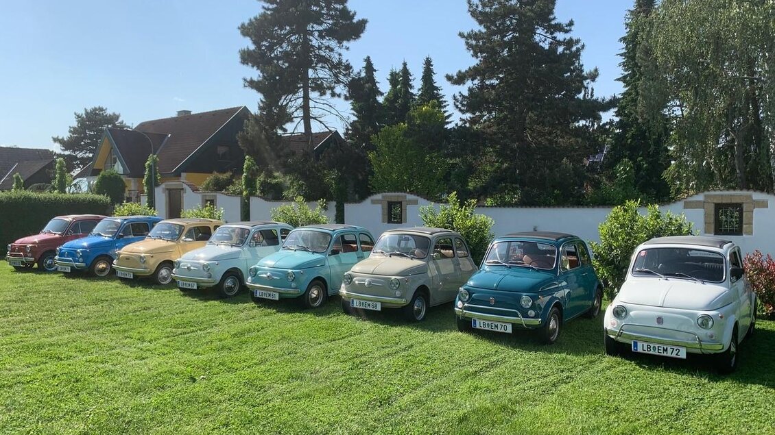 Eine Reihe von bunten Autos steht auf einer grünen Wiese. Im Hintergrund sieht man Häuser und Bäume. | © Event Mobile