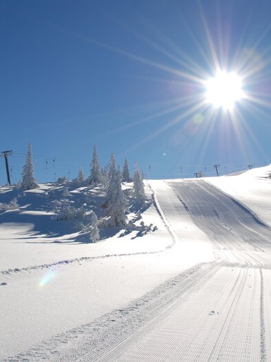 Eine schneebedeckte Landschaft mit einem klaren blauen Himmel. Die Sonne strahlt hell über die Skipiste und die umgebenden Bäume. | © Reiteralm Bergbahnen
