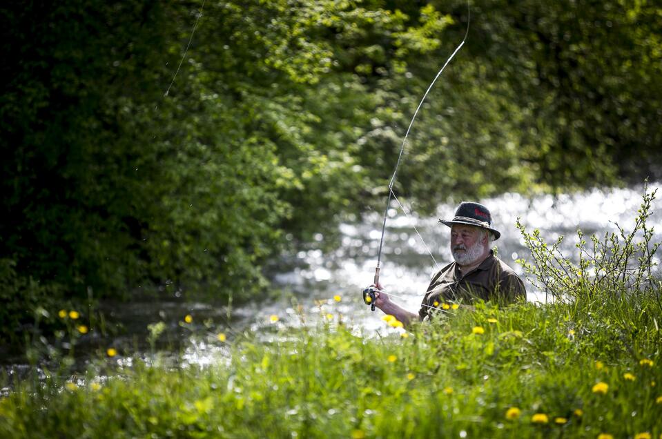 Fishing in the Feistritzbach - Impression #1