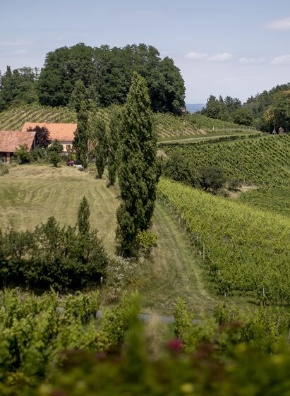 Landschaft | @Tom Lamm | © TV Südsteiermark