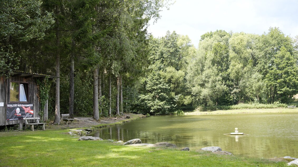 Karner Teich_Am Ufer_Oststeiermark | © Tourismusverband Oststeiermark