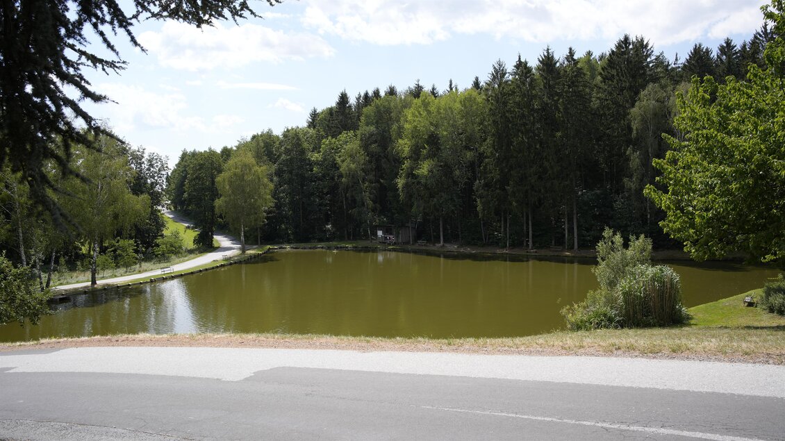 Karner Teich_Blick abwärts_Oststeiermark | © Tourismusverband Oststeiermark
