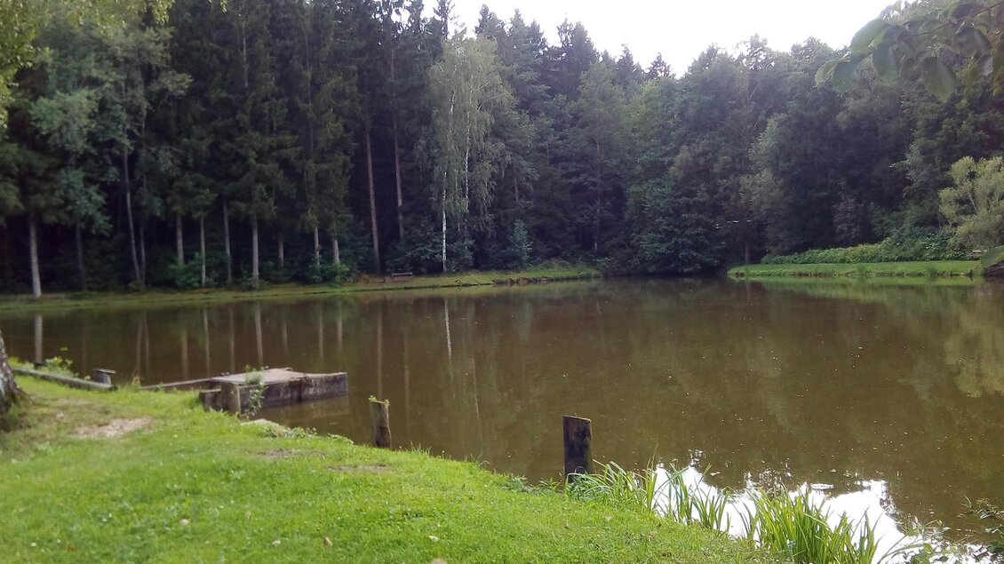 Ein ruhiger See umgeben von dichtem Wald. Das Wasser spiegelt die Bäume und das Grün der Wiesen wider. | © Tourismusverband Oststeiermark