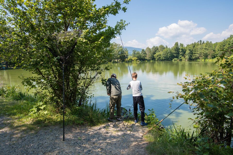 Fischen Winzendorfer Teiche - Impression #1 | © Winzendorfer Teiche
