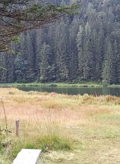 Spechtensee in Wörschachwald | TVB Ausseerland Salzkammergut/Raunigg | © TVB Ausseerland Salzkammergut/Raunigg