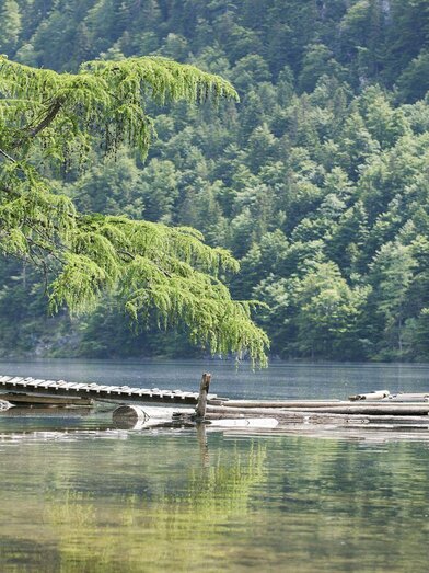 Fishing, Grundlsee, Toplitzsee lake | © Schifffahrt Grundlsee/Eisenberger | Schifffahrt Grundlsee/Eisenberger | © Schifffahrt Grundlsee/Eisenberger