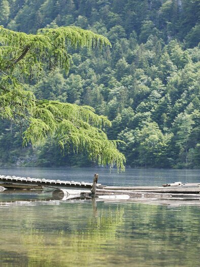 Fishing, Grundlsee, Toplitzsee lake | © Schifffahrt Grundlsee/Eisenberger