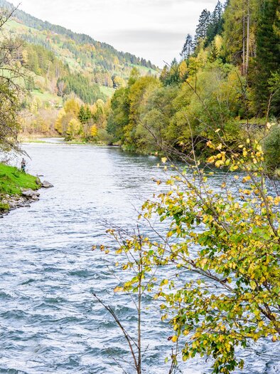 Fischen in der Mur | © Tourismusverband Murau