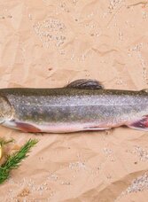 Char from the Ausseerland | © Fischerei Ausseerland/Martin Huber | Fischerei Ausseerland/Martin Huber | © Fischerei Ausseerland/Martin Huber
