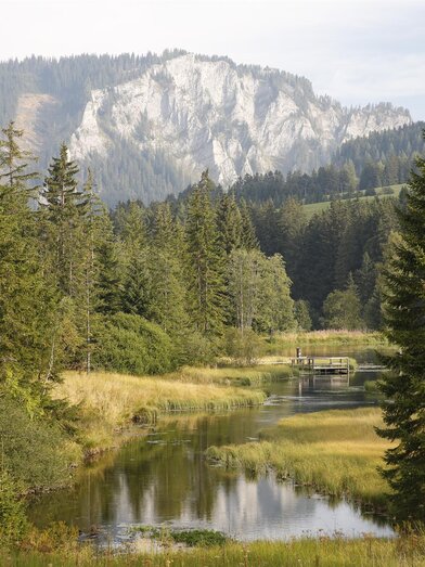 ForellenzuchtWuitz-Teich-Murtal-Steiermark | Herbert Raffalt | © Erlebnisregion Murtal