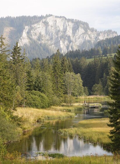 ForellenzuchtWuitz-Teich-Murtal-Steiermark | Herbert Raffalt | © Erlebnisregion Murtal