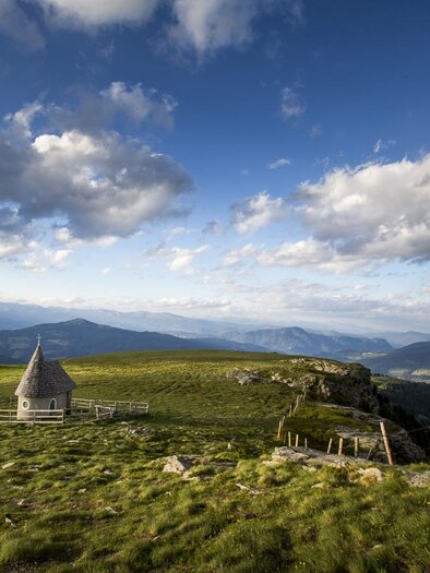 Frauenalpe Sommer | © Tourismusverband Murau