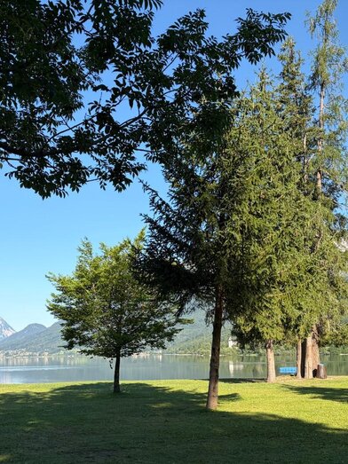 bäume-badeplatz-freizeitzentrum-gößl-grundlsee | © TVB Ausseerland/Johanna Rastl | Johanna Rastl | © TVB Ausseerland/Johanna Rastl