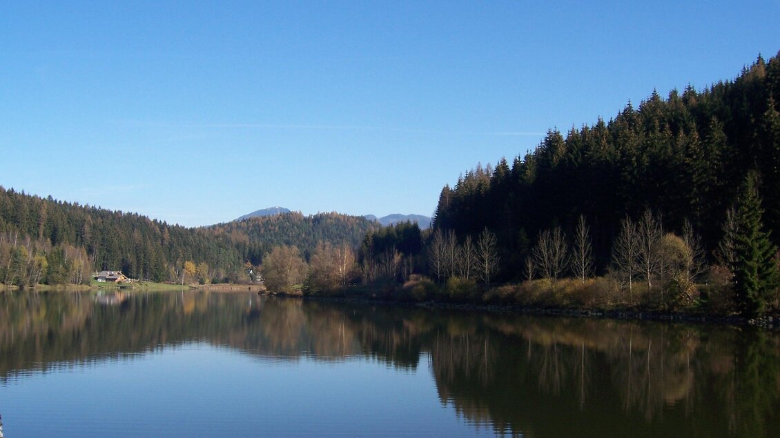 Ein ruhiger See umgeben von grünen Wäldern und Bergen. Der klare blaue Himmel spiegelt sich im Wasser. | © TVB Erzberg-Leoben