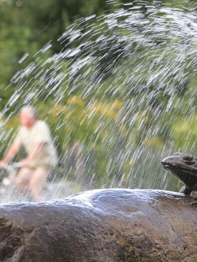 Froschbrunnen@Bergmann | © Bernhard Bergmann