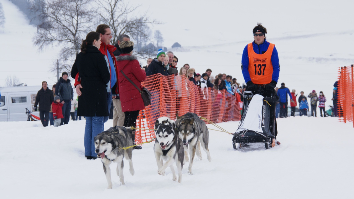 Ein Schlittenhundrennen mit Hunden und einem Läufer auf verschneitem Boden. Eine Menschenmenge beobachtet das Ereignis im Hintergrund. | © Manfred Fuchs