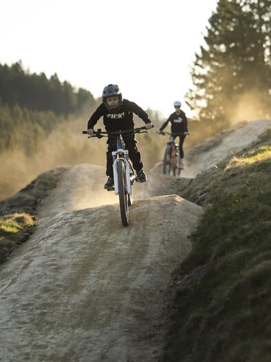 Drei Sportler sind auf unterschiedlichen Untergründen aktiv. Links fährt einer auf einem Dreirad, in der Mitte fährt ein Skifahrer und rechts fährt ein Mountainbiker. | © Oststeiermark Tourismus