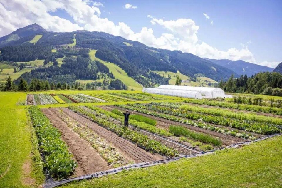 Garten am Berg - Schladming-Dachstein - Impression #1 | © Garten am Berg