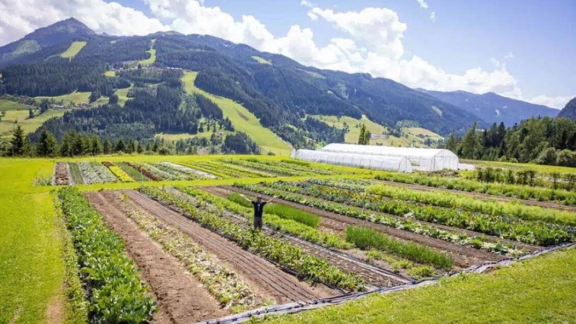 Gemüsefelder mit Blick auf Berge und Skipisten in der Region Schladming-Dachstein. | © Garten am Berg